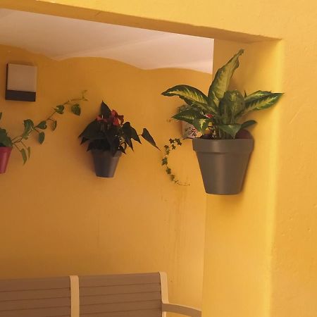Appartement Rcbcaleros à Caces Extérieur photo
