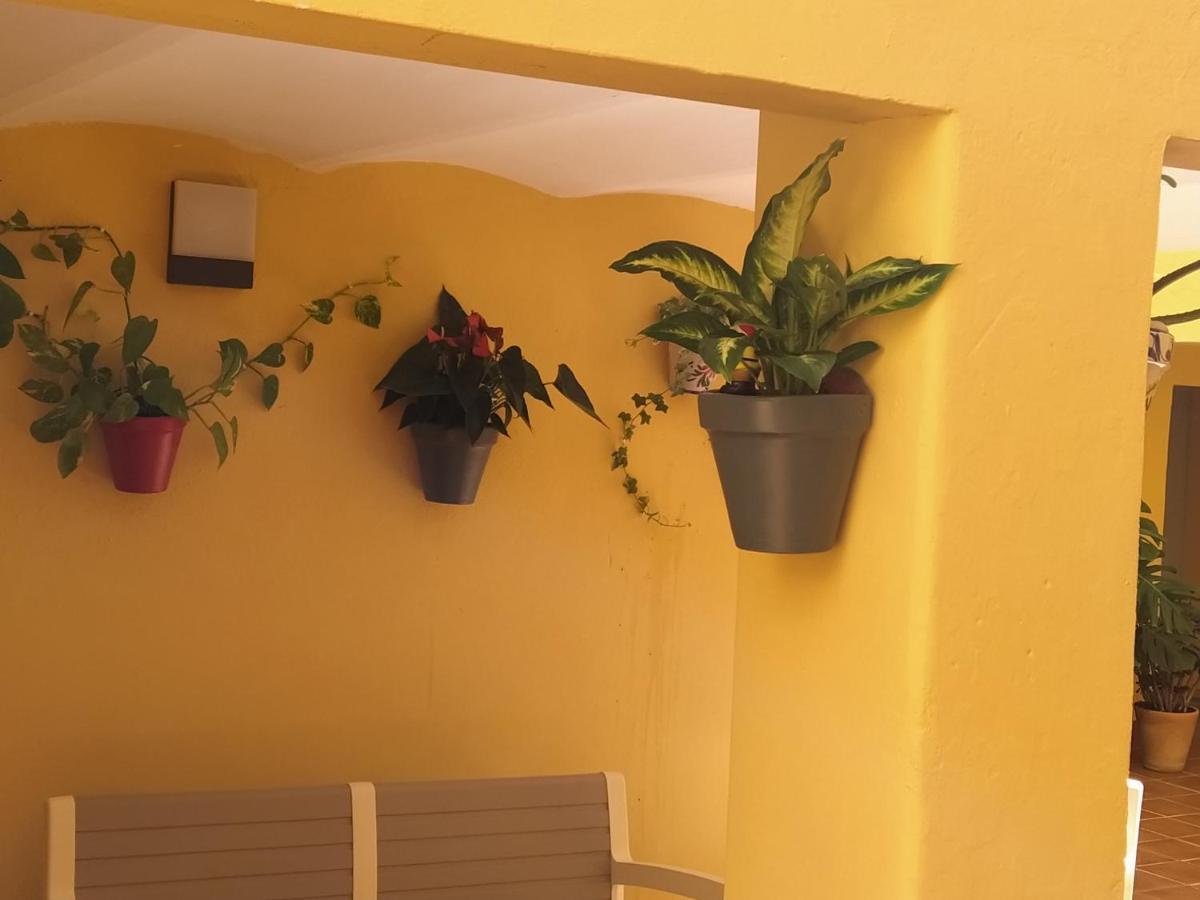 Appartement Rcbcaleros à Caces Extérieur photo