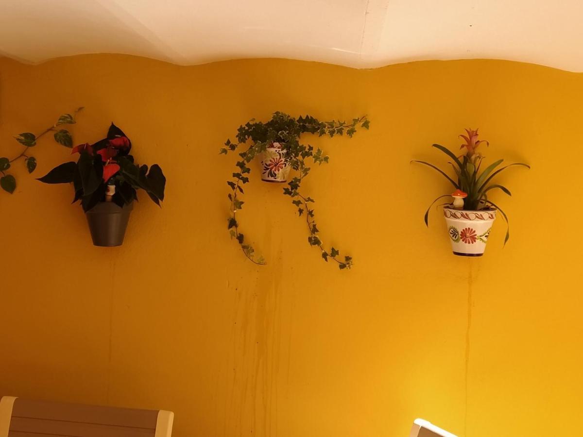 Appartement Rcbcaleros à Caces Extérieur photo